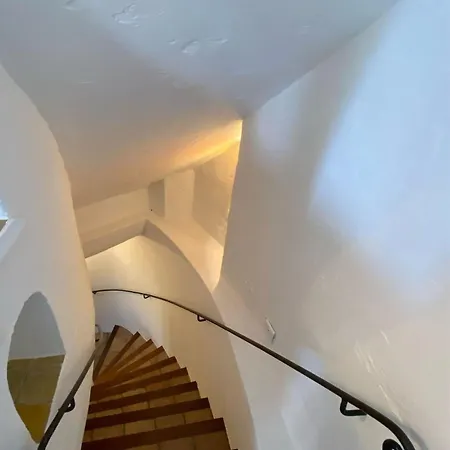 Mikeou فيلة فالوريس